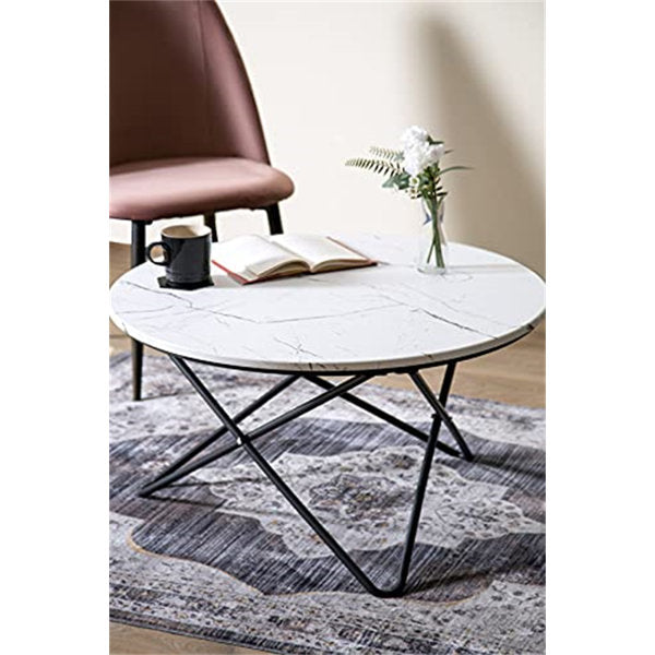Evelien Frame Marble Coffee Table