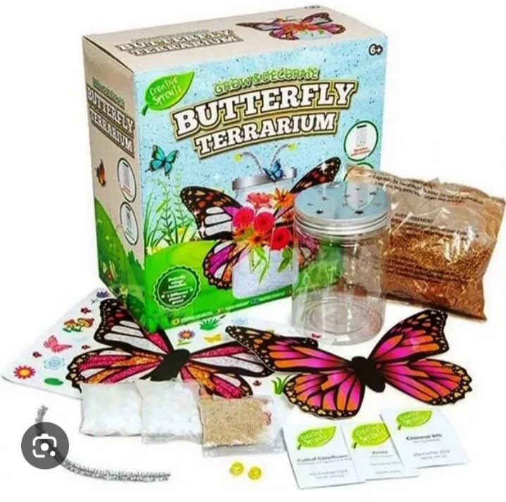Butterfly Terrarium