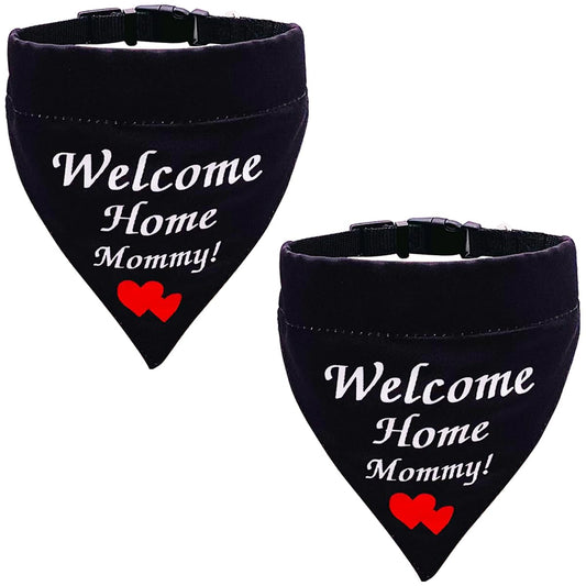 JpGdn 2 pcs Welcome Home Dog Collars with Bandanas for Small Dogs Pet Scarf Neckerchief Triangle Adjustable Strap Bandanas for Puppy Cat Dog Collar Costume Accessories