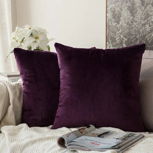 MIULEE Velvet Soft Decorative Square Throw Pillow Case Cushion Covers Pillowcases for Livingroom Sofa Bedroom with Invisible Zipper 60cm x 60cm 24x24 Inch 2 Pieces Aubergine