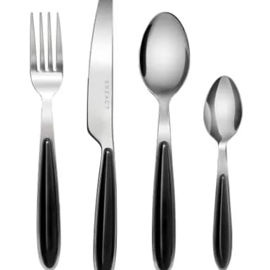 EXZACT Cutlery Set of 24, Stainless Steel with Color Handles - 6 Forks, 6 Dinner Knives, 6 Dinner Spoons, 6 Teaspoons - EX07 (Black x 24)