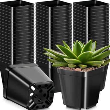 KAHEIGN 50Pcs Square Plant Pots, 10CM Thick Plastic Flower Pots Succulent Planter Nursery Pots with Drainage Holes for Small Potted Plants (Black)