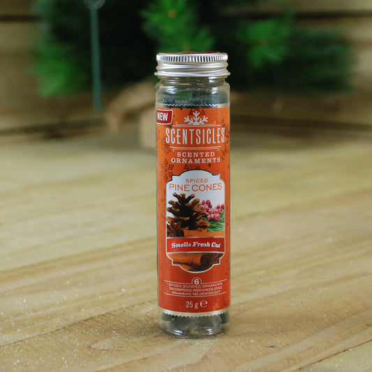 ScentSicles
Christmas Tree Scented Sticks, Pack of 6 2 scents