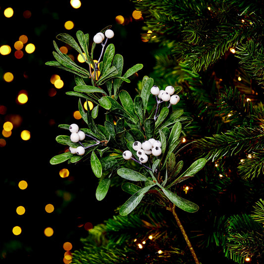 Mistletoe Stem 580mmx260mm