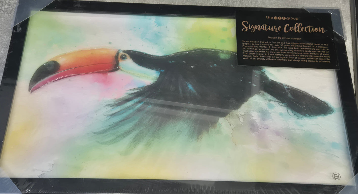 Simon Howden Toucan Signature Collection 30 X 50cm Unique Wall Art