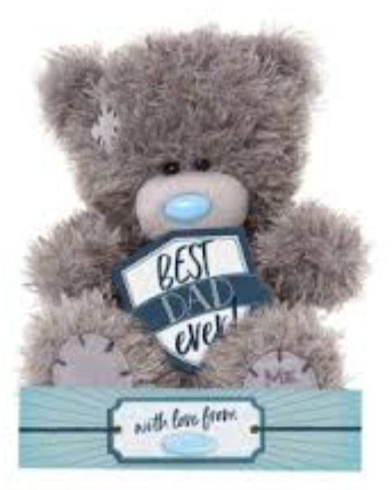Me To You Best Dad Ever Plush