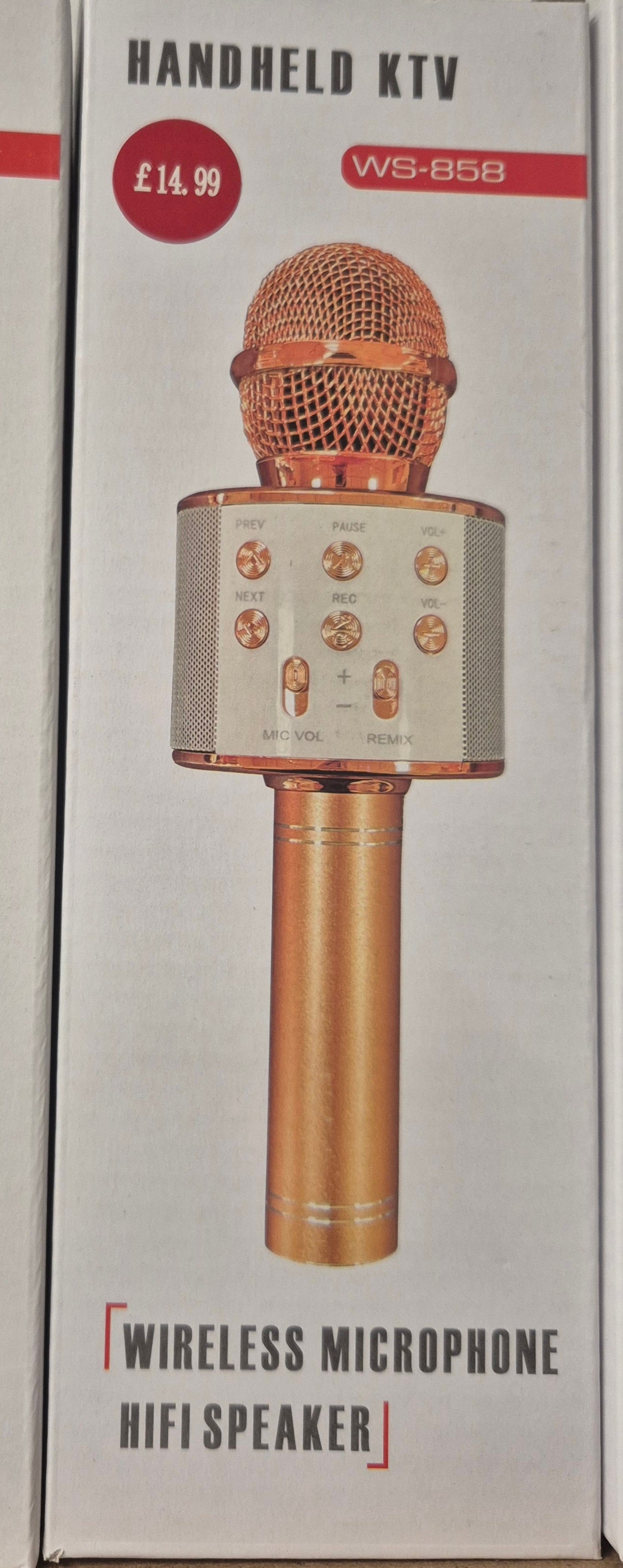 Wireless Karaoke Portable Speaker Party Fun Microphone with TFT Card Recorder