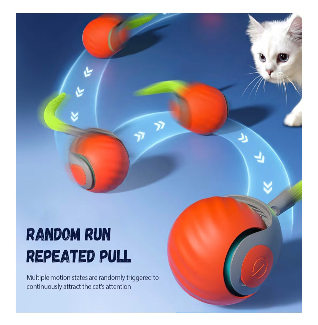Smart Cat Interactive Toy - Two Speed-Adjustable, USB Rechargeable, Indoor Orange Cat Ball