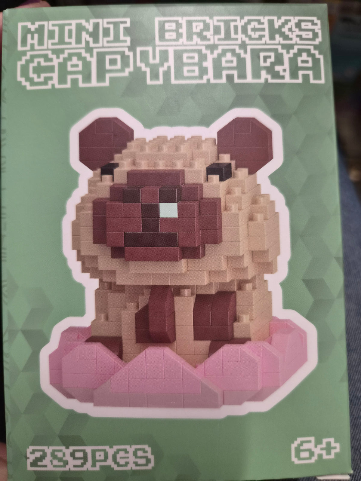 Mini Brick Capybara Assortment of 6