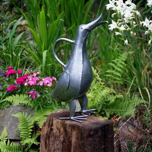Singing Duck Watering Can