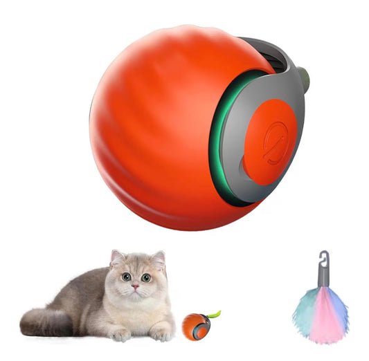 Smart Cat Interactive Toy - Two Speed-Adjustable, USB Rechargeable, Indoor Orange Cat Ball