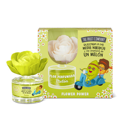 The Fruit Company Melon Flower Diffuser