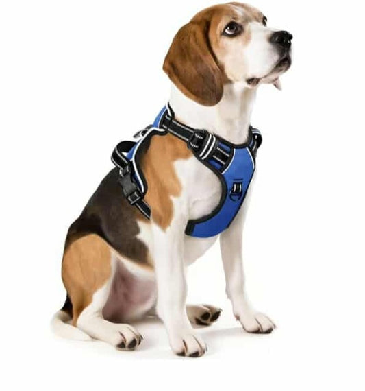 Dog Vest Harness M Blue - Step In, Comfortable, Breathable, Adjustable, Lightweight Puppy Walking Harness - Escape-proof & Easy On/Off