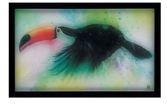 Simon Howden Toucan Signature Collection 30 X 50cm Unique Wall Art