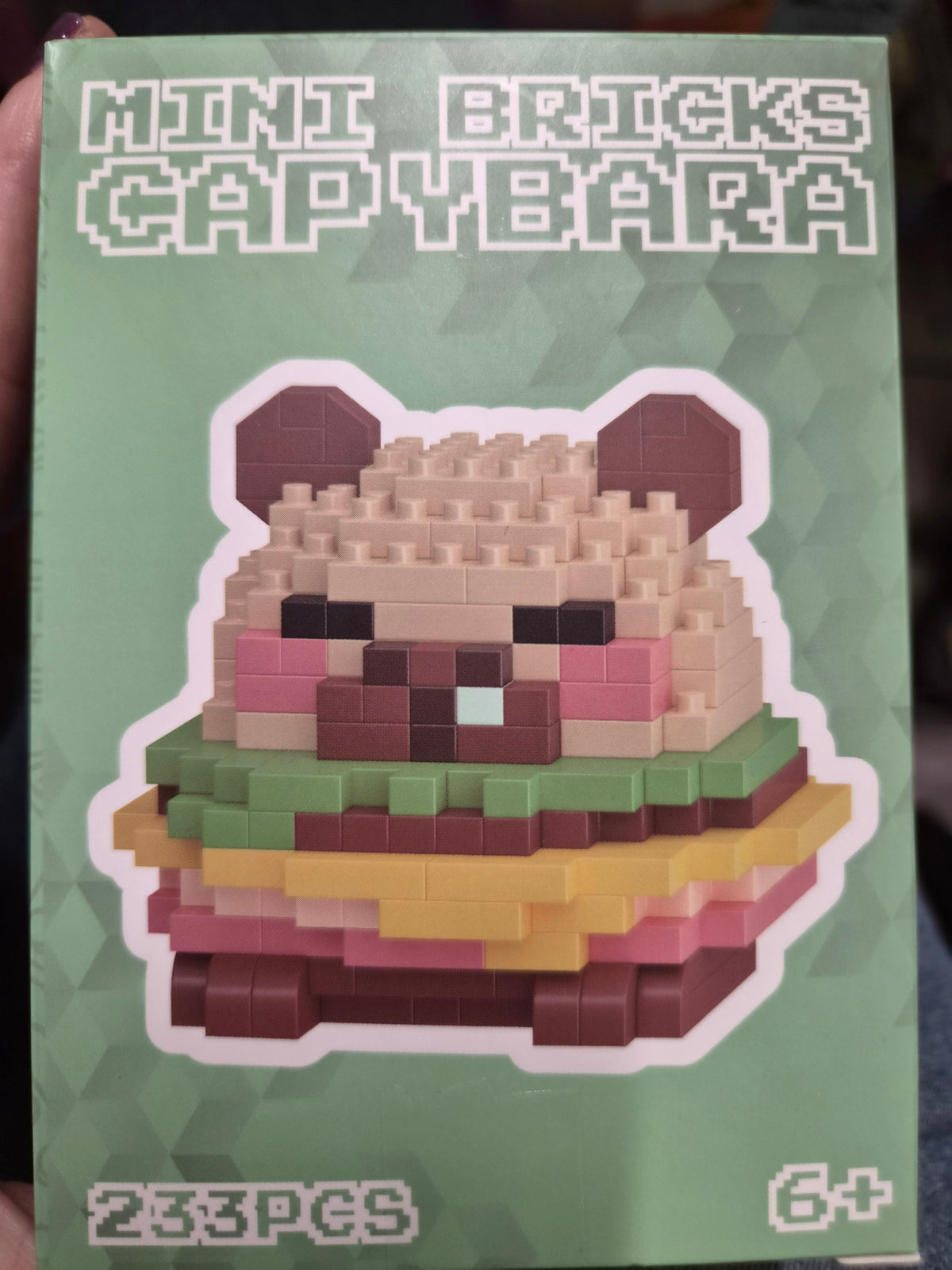 Mini Brick Capybara Assortment of 6