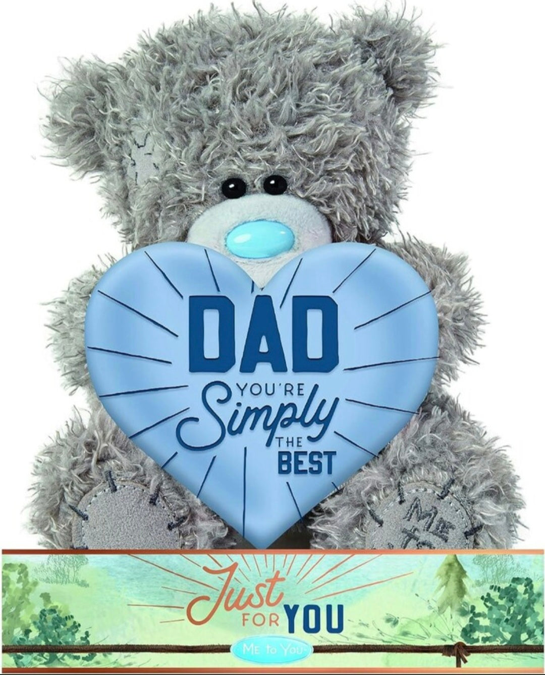 Me to You Tatty Teddy Dad You're Simply the Best